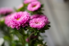 Lynsey and Rodti's wedding-362