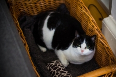 Lynsey and Rodti's wedding-41